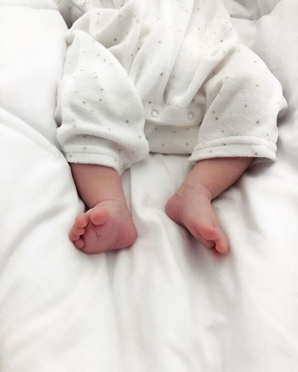 Πηγή φωτογραφίας: Instagram @bos_k
