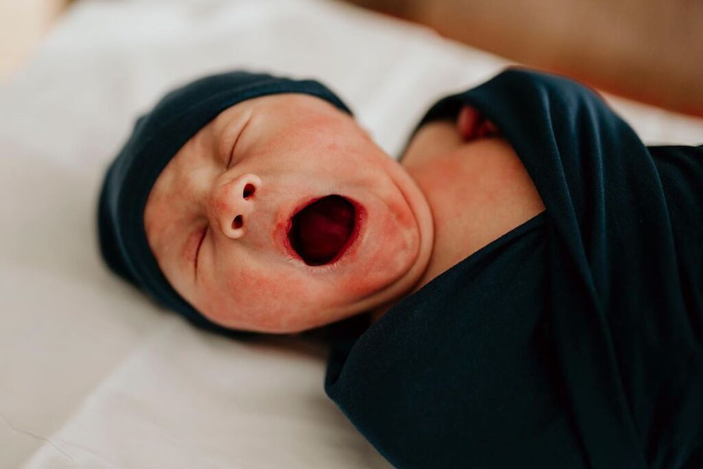 Πηγή φωτογραφίας: Instagram @wildsphoto
