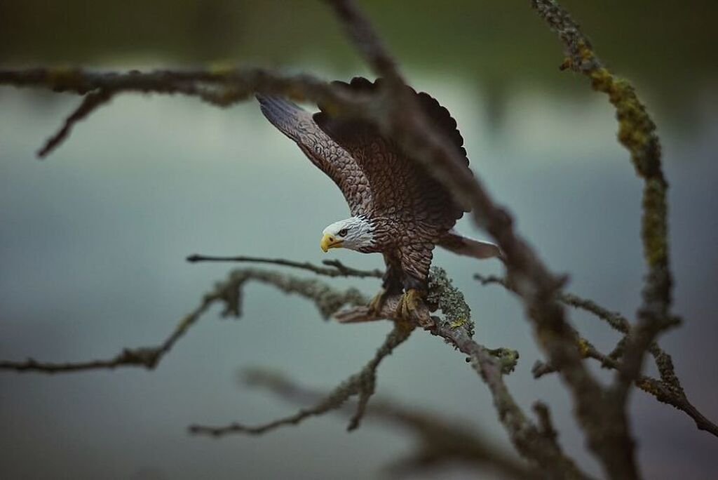 Φωτογράφος και μαμά απαθανατίζει πώς βλέπουν τα παιδιά τα παιχνίδια τους