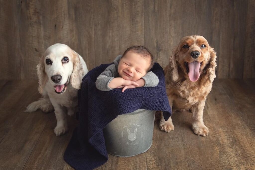 Πηγή φωτογραφίας: Instagram @littlebrownrabbitphotography
