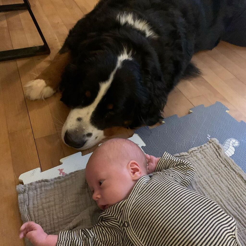 Πηγή φωτογραφίας: Instagram @atmdo