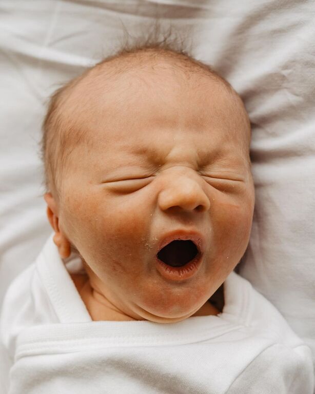 Αυτά τα νεογέννητα μωράκια θα σας κλέψουν την καρδιά