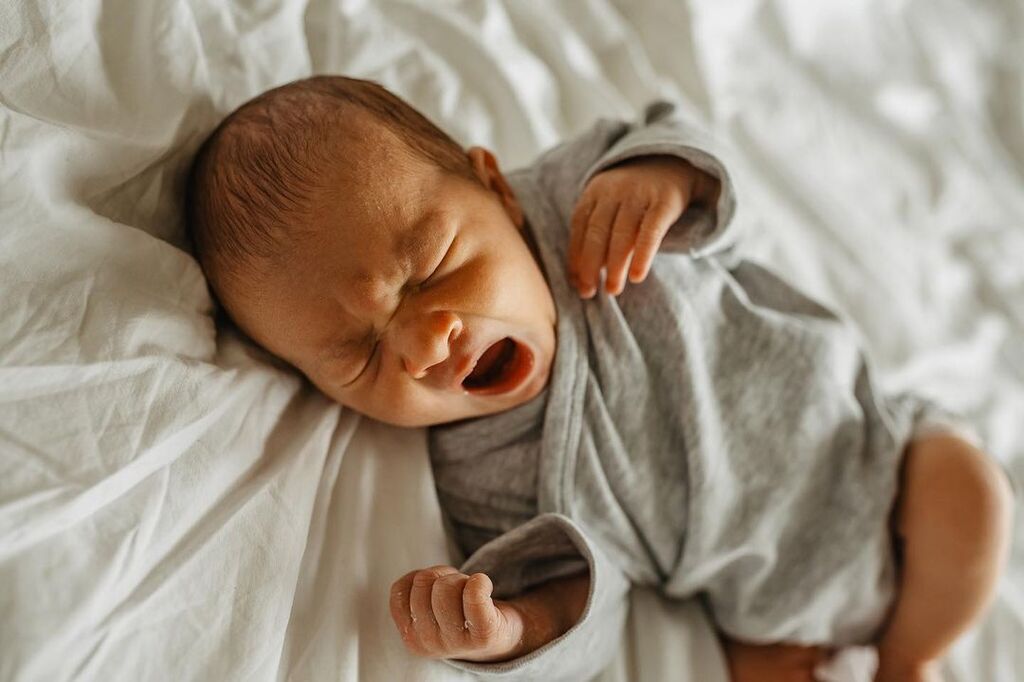 Αυτά τα νεογέννητα μωράκια θα σας κλέψουν την καρδιά