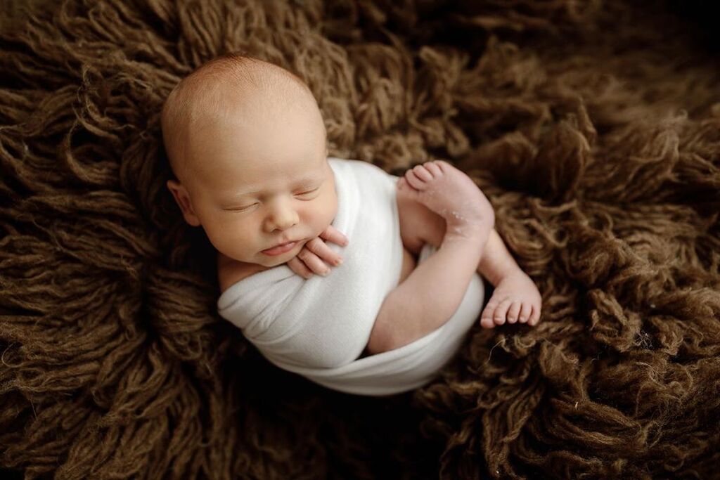 Νεογέννητα ποζάρουν στον φωτογραφικό φακό και το αποτέλεσμα είναι υπέροχο