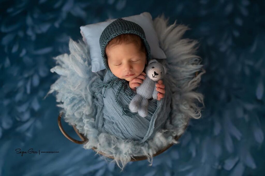 Νεογέννητα φωτογραφίζονται αγκαλιά με πάνινα ζωάκια και είναι αξιαγάπητα