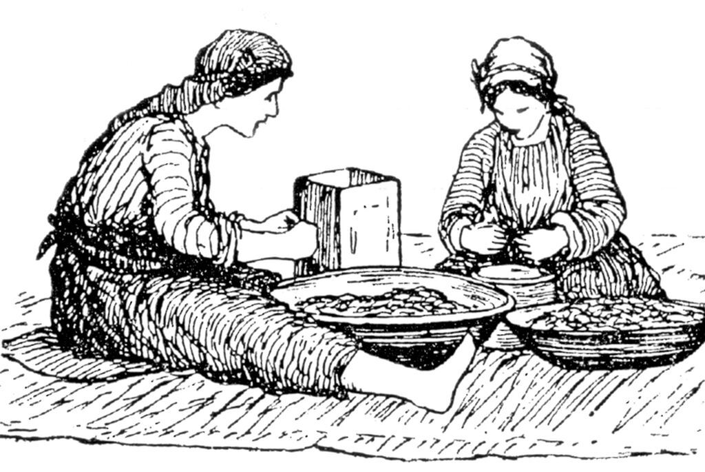 Ο αποκεφαλισμός των χαψιών, το «κούλισμα»_