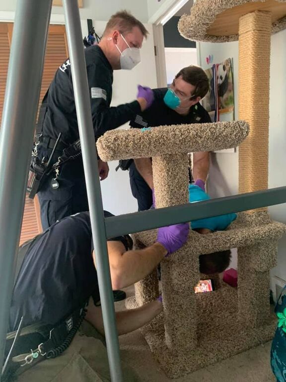 Κόλλησε το κεφάλι του στο σπιτάκι της γάτας και οι φώτο έγιναν viral