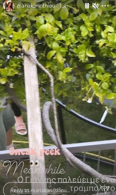 'Οσο για τον μπαμπά, Γιάννη Αϊβάζη, προσπαθούσε να φτιάξει ένα τραμπολίνο.