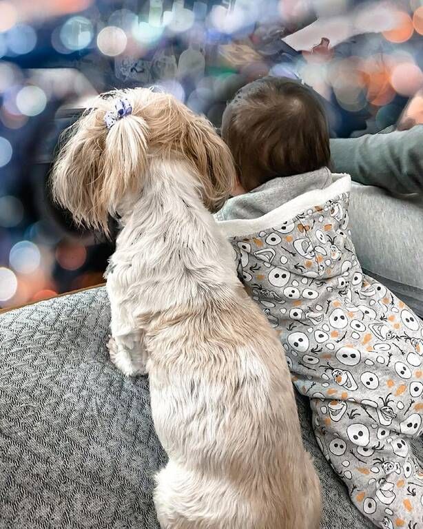 Η καθημερινότητά τους περιλαμβάνει παιχνίδια στο σπίτι...