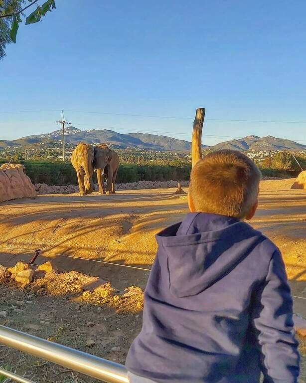 Χάρης Γιακουμάτος: «Γιε μου τα καταφέραμε! Ψηφίστηκε η Συνεπιμέλεια» 