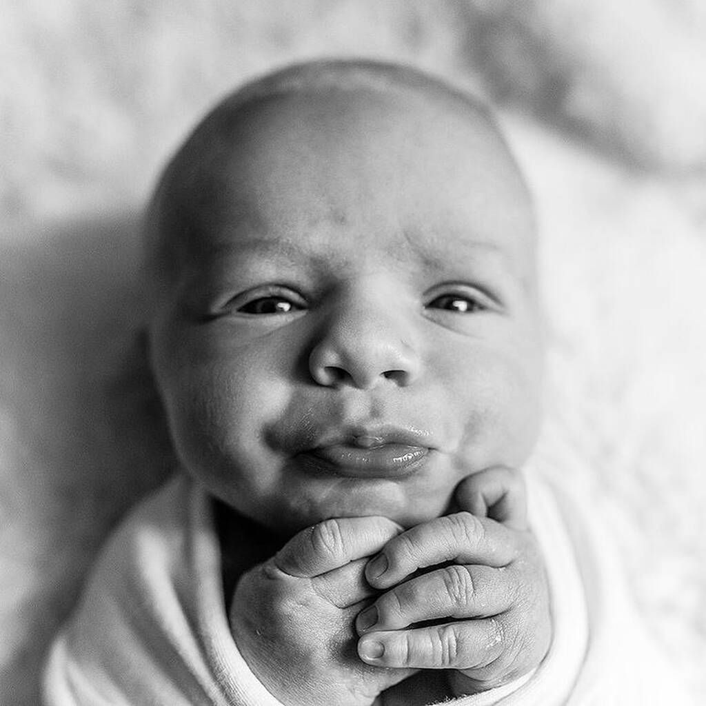 Instagram @tailsandwingsphoto