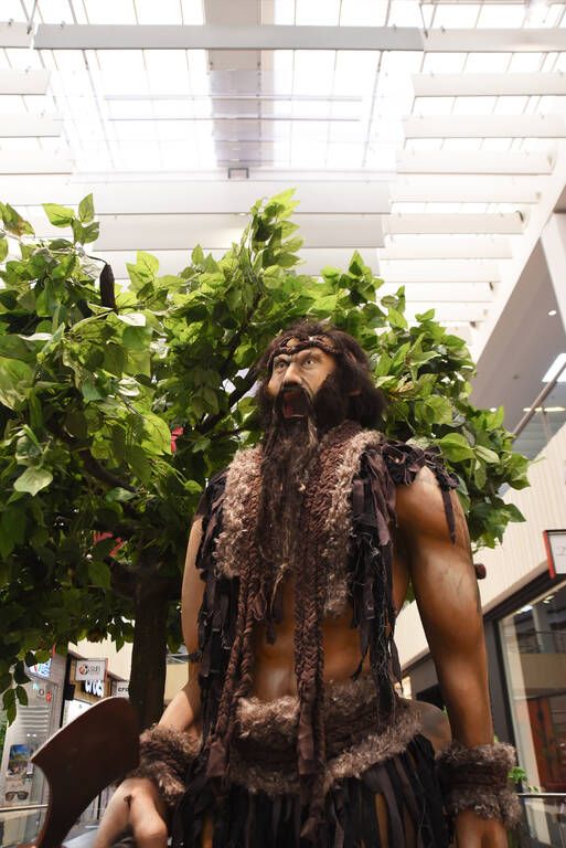 Τέρατα, Θρύλοι & Μύθοι στο Mediterranean Cosmos