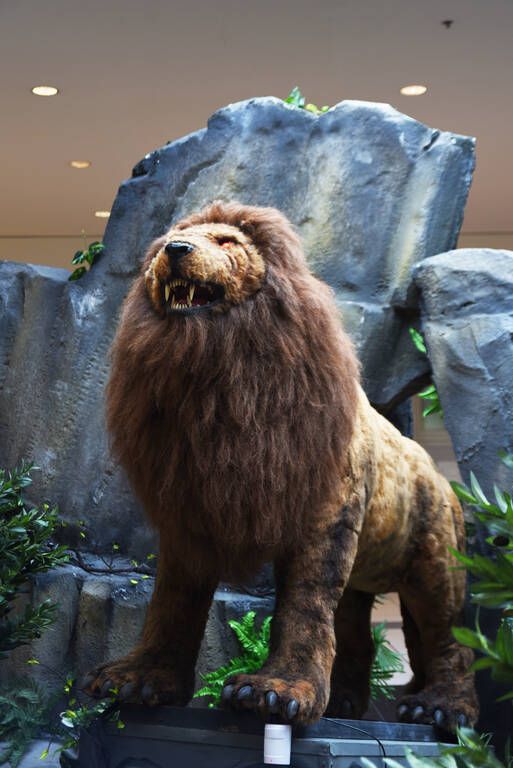 Τέρατα, Θρύλοι & Μύθοι στο Mediterranean Cosmos