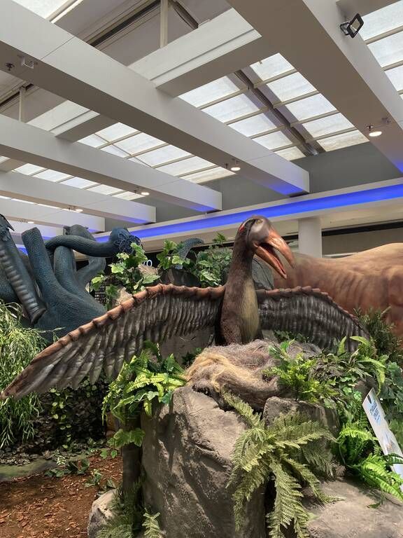 Τέρατα, Θρύλοι & Μύθοι στο Mediterranean Cosmos