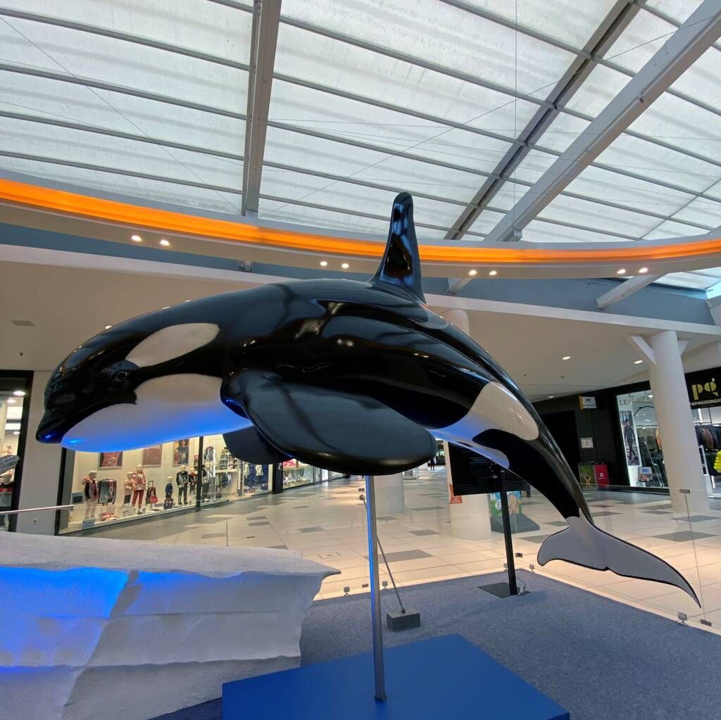 Η συναρπαστική έκθεση «Πλάσματα & Μυστήρια του Βυθού» στο Mediterranean Cosmos