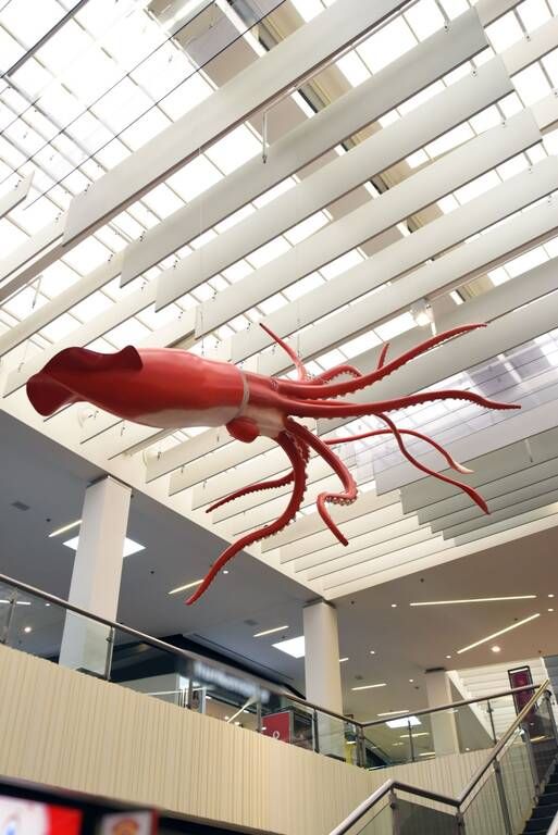 Η συναρπαστική έκθεση «Πλάσματα & Μυστήρια του Βυθού» στο Mediterranean Cosmos