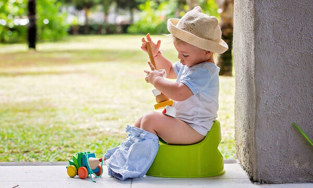 Έχει επίσης παρατηρηθεί ότι η δυσκοιλιότητα μπορεί επίσης να προκαλέσει λοίμωξη του ουροποιητικού συστήματος. Ως εκ τούτου, η διατροφή του πρέπει να είναι πλούσια σε φυτικές ίνες.