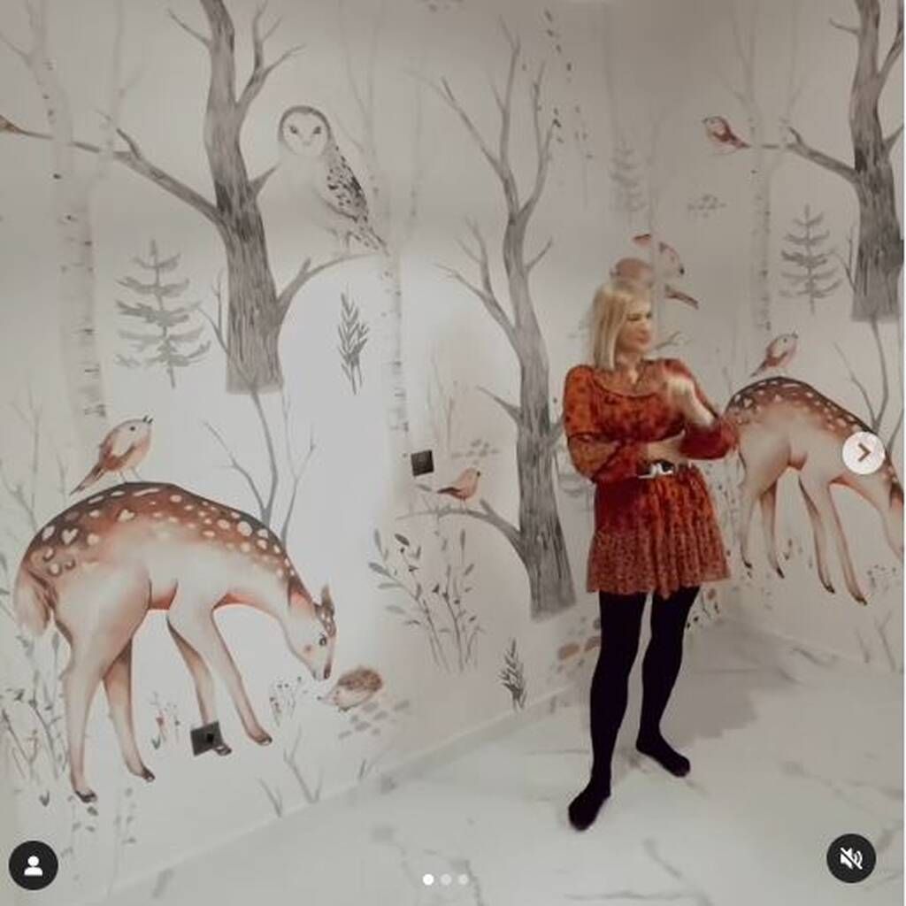 Όλγα Πηλιάκη: Ονειρεμένο το νέο παιδικό δωμάτιο της Μαλένας (εικόνες και vid)