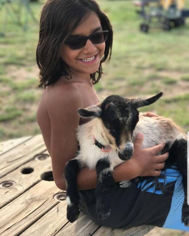 Instagram / wispyfeatherfarm