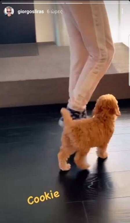 Γιώργος Λύρας: Φωτογράφισε την κόρη του στο υπέροχο καθιστικό του σπιτιού τους 