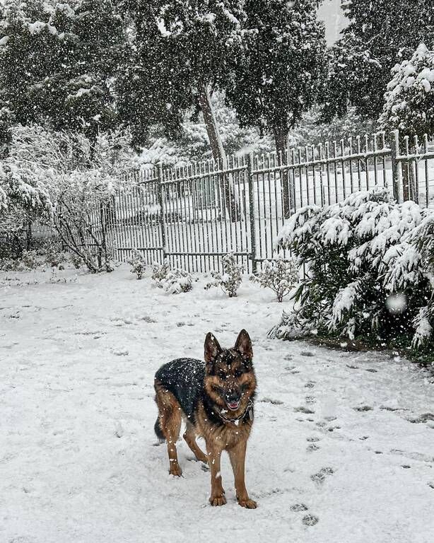 Χριστίνα Κοντοβά: Η μικρή Ada λατρεύει το χιόνι - Οι απίθανες φώτο της στην Αθήνα