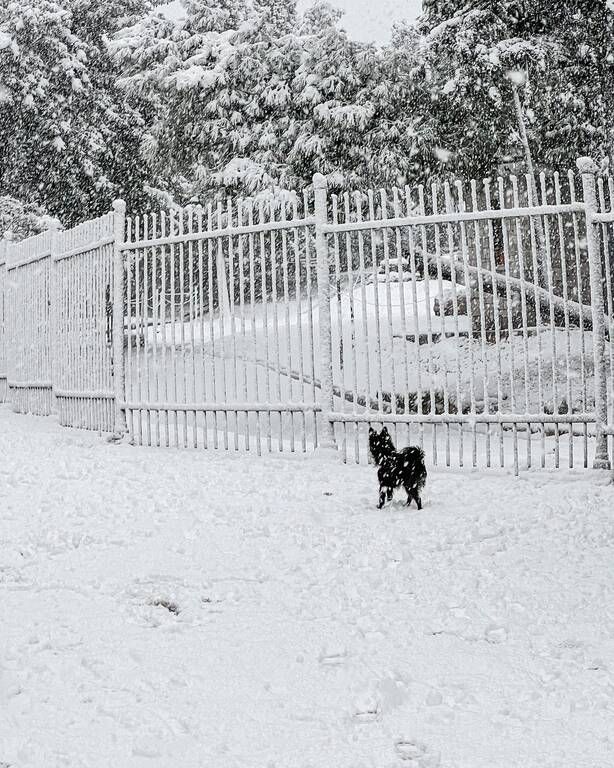 Χριστίνα Κοντοβά: Η μικρή Ada λατρεύει το χιόνι - Οι απίθανες φώτο της στην Αθήνα