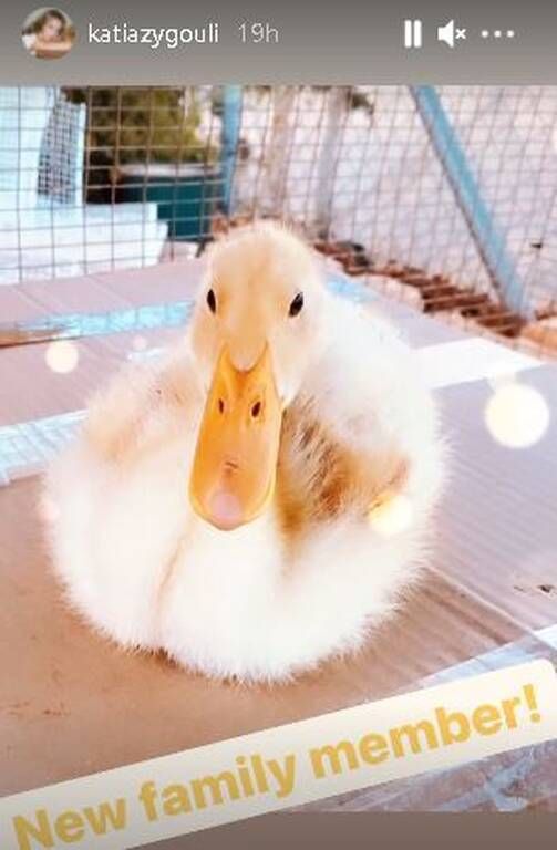 Το σπίτι τους θυμίζει αγρόκτημα.