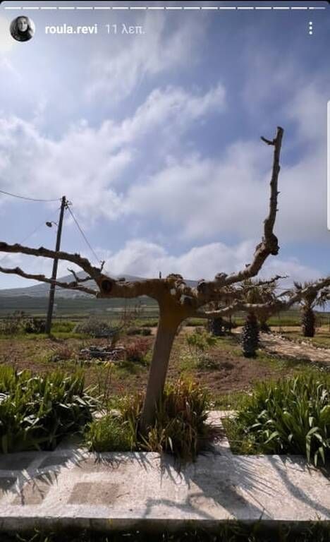 Η αυλή του σπιτιού.