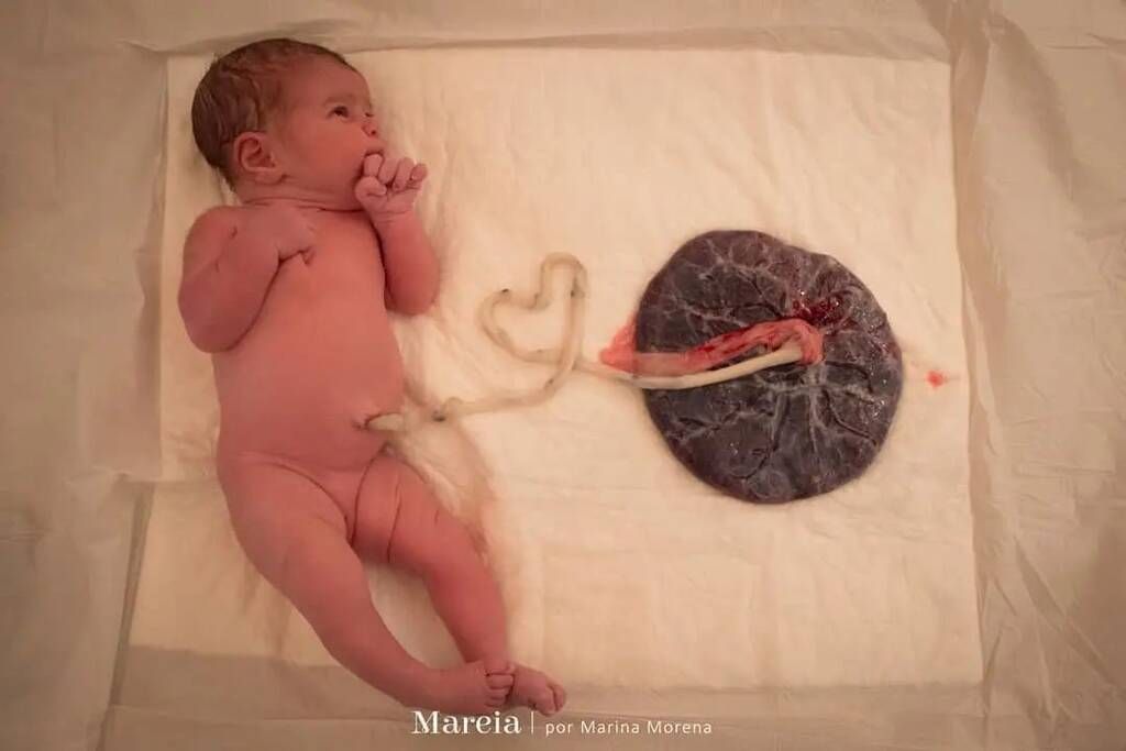 Πηγή φωτογραφίας: Instagram / luavermelha.medicinadaplacenta