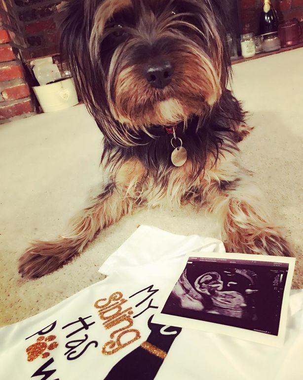 Οι 20 καλύτερες ανακοινώσεις εγκυμοσύνης, που ανακαλύψαμε στο Instagram (pics)