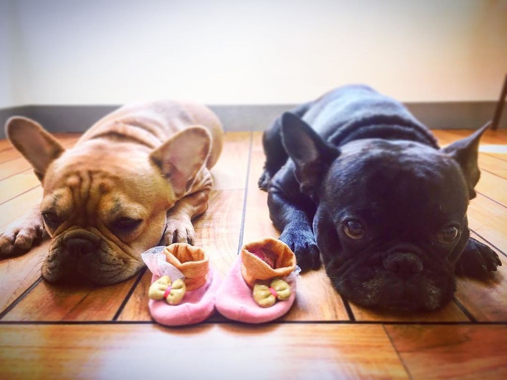 Οι 20 καλύτερες ανακοινώσεις εγκυμοσύνης, που ανακαλύψαμε στο Instagram (pics)