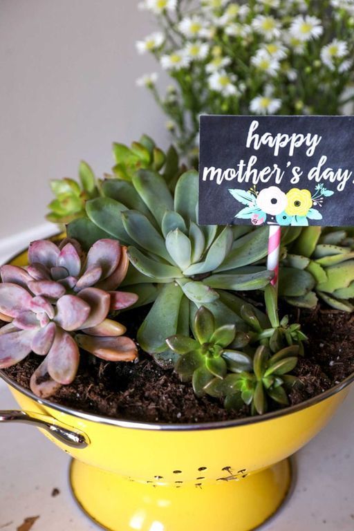 Γιορτή της Μητέρας: 20 οικονομικές και όμορφες ιδέες για δώρα