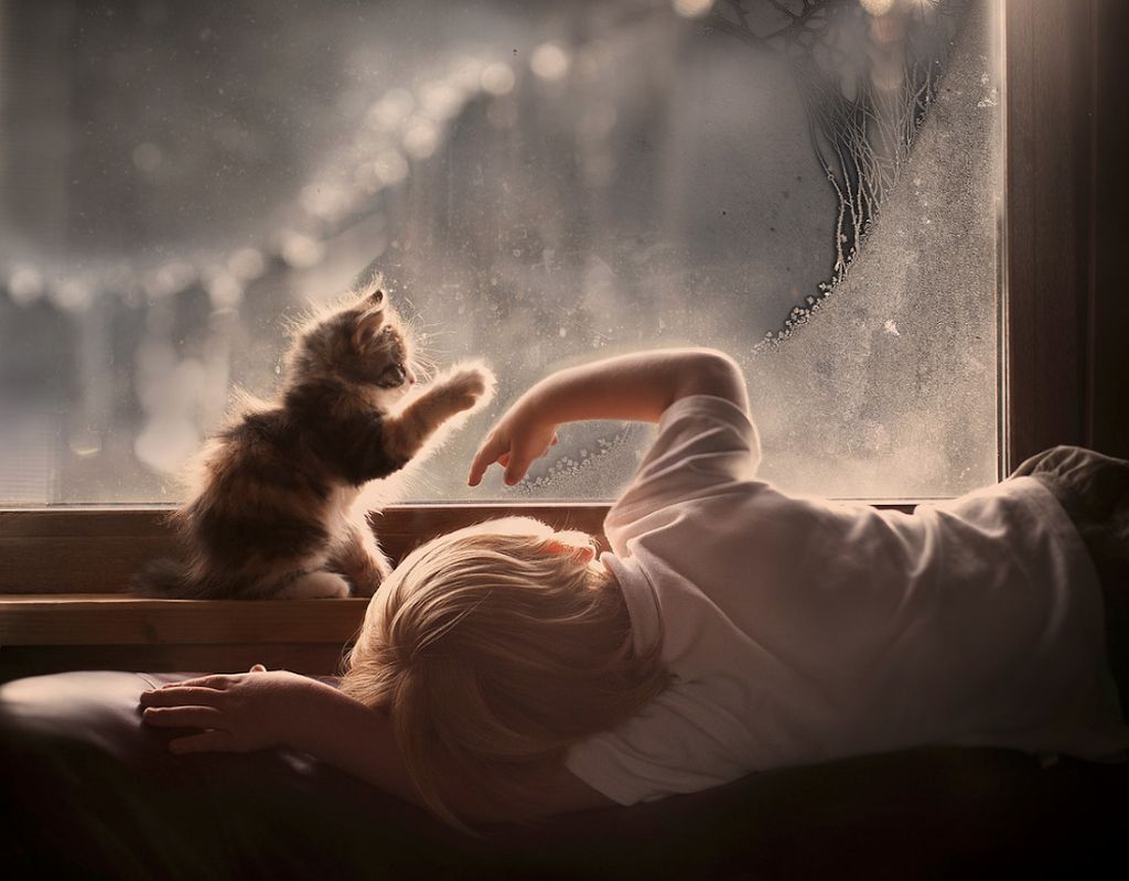 Υπέροχες φωτογραφίες που δείχνουν ότι οι γάτες είναι οι καλύτερες φίλες των παιδιών σας (pics)