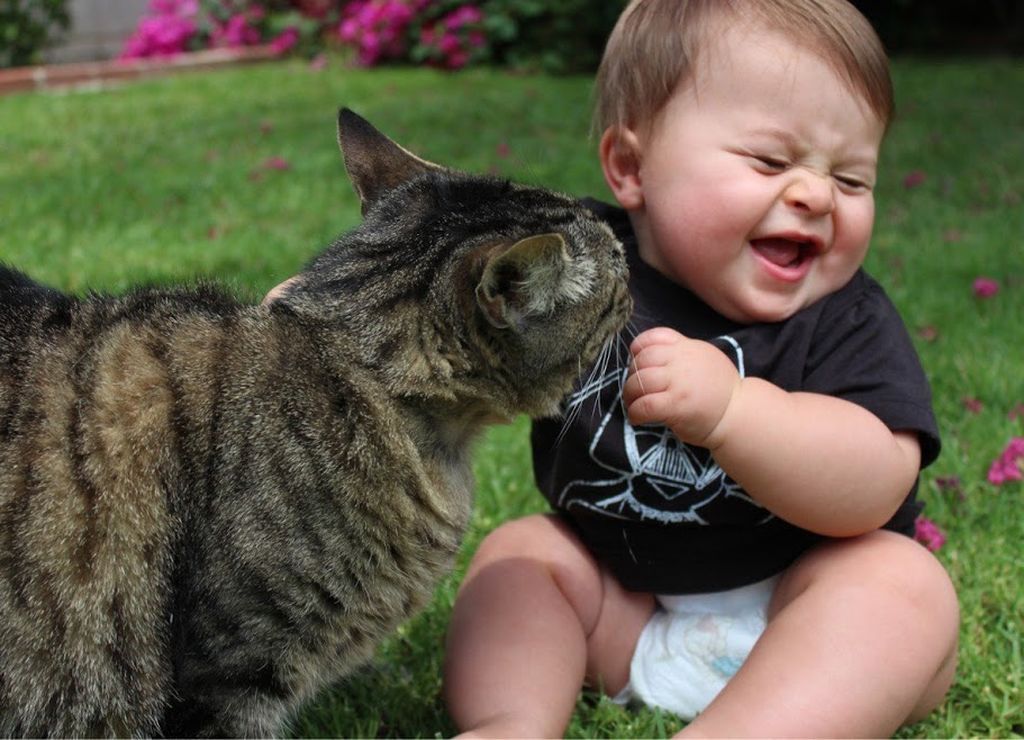 Υπέροχες φωτογραφίες που δείχνουν ότι οι γάτες είναι οι καλύτερες φίλες των παιδιών σας (pics)