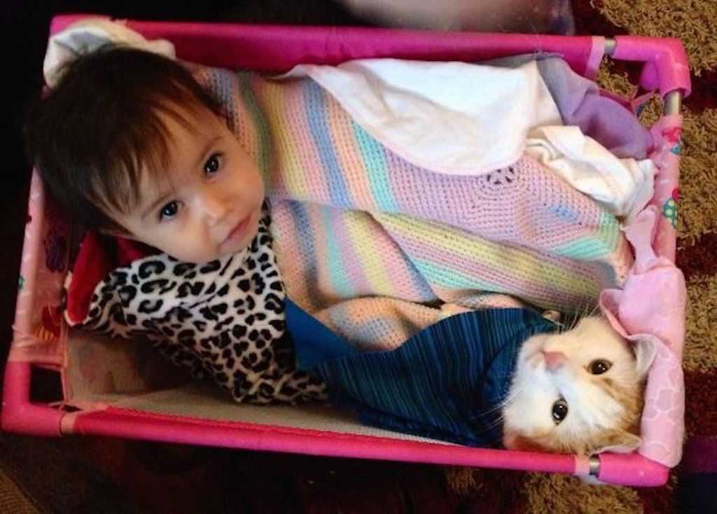 Υπέροχες φωτογραφίες που δείχνουν ότι οι γάτες είναι οι καλύτερες φίλες των παιδιών σας (pics)