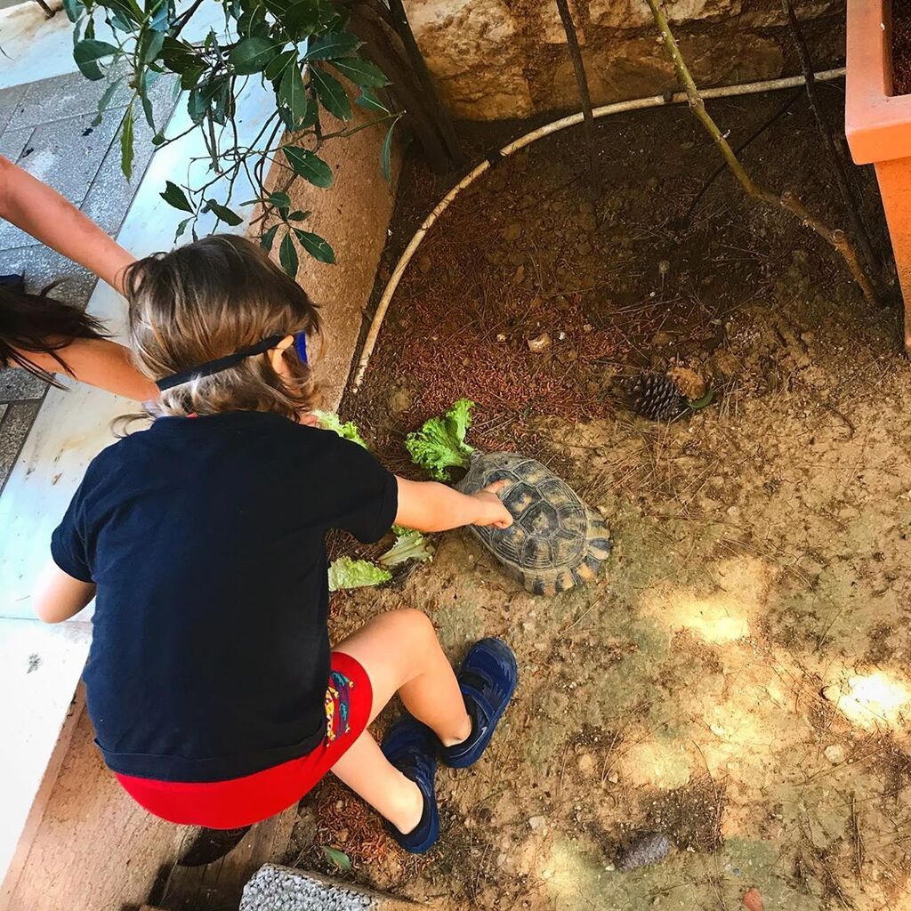 Κατερίνα Καραβάτου: «Επιτέλους η Χρυσούλα ξύπνησε, γιατί μας κοψοχόλιασε φέτος.... Και φυσικά κάναμε ένα μικρό πανηγύρι, ενώ ο Αρίωνας με ρώτησε αν πιστεύω ότι η μάσκα του Superman που θέλησε να φορέσει για να την εντυπωσιάσει, μπορεί παράλληλα και να την