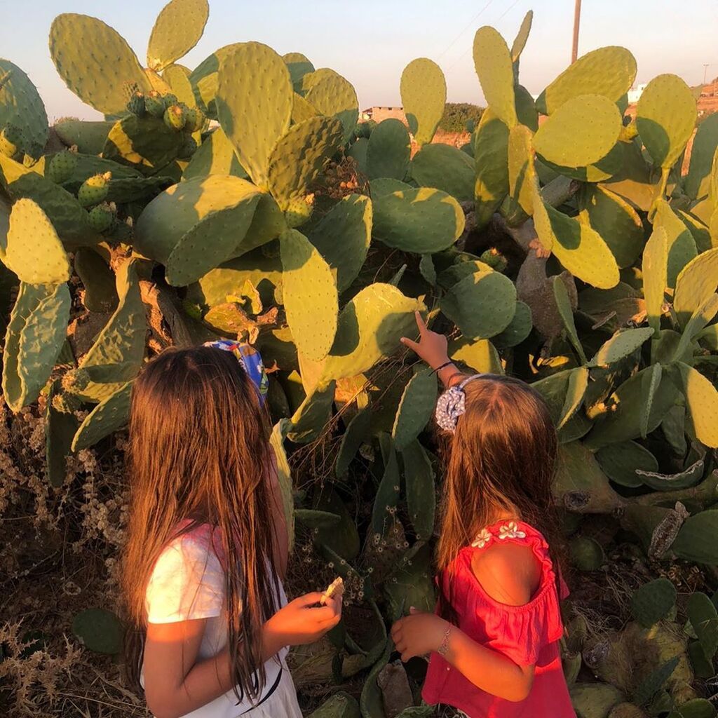 Σταματίνα Τσιμτσιλή: Η εντυπωσιακή τούρτα για τα γενέθλια της κόρης της