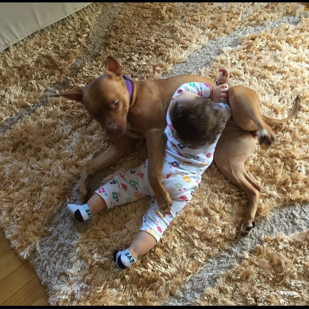 Αντώνης Σρόιτερ: Δείτε πόσο έχουν μεγαλώσει οι κόρες του (pics) 