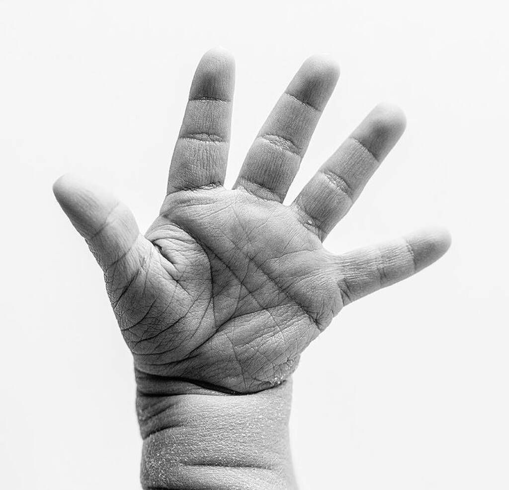 Instagram @dawnpotterphotography