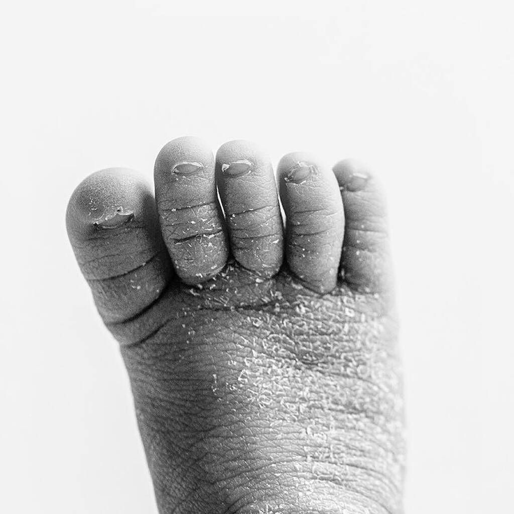 Instagram @dawnpotterphotography