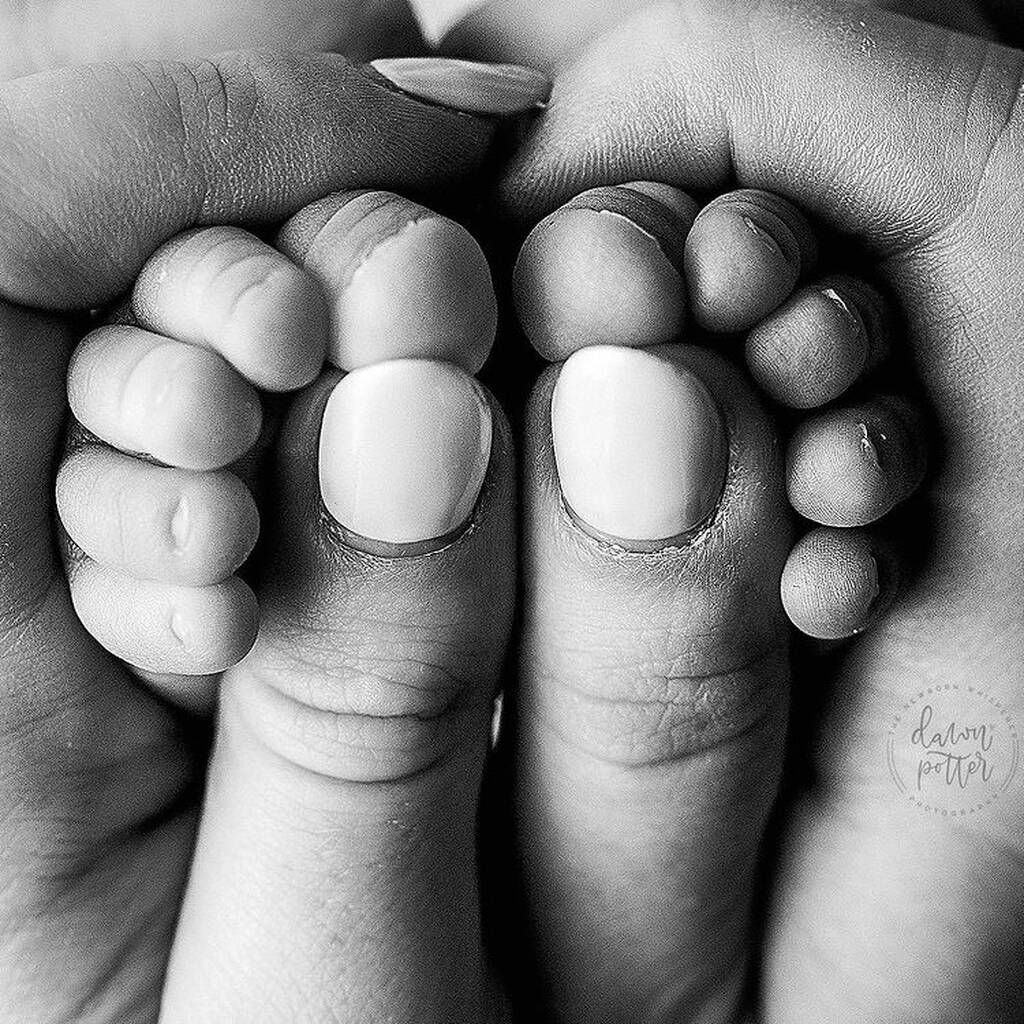 Instagram @dawnpotterphotography