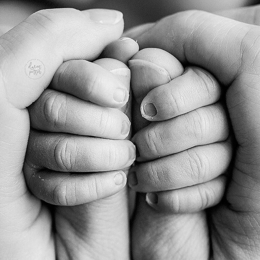 Instagram @dawnpotterphotography