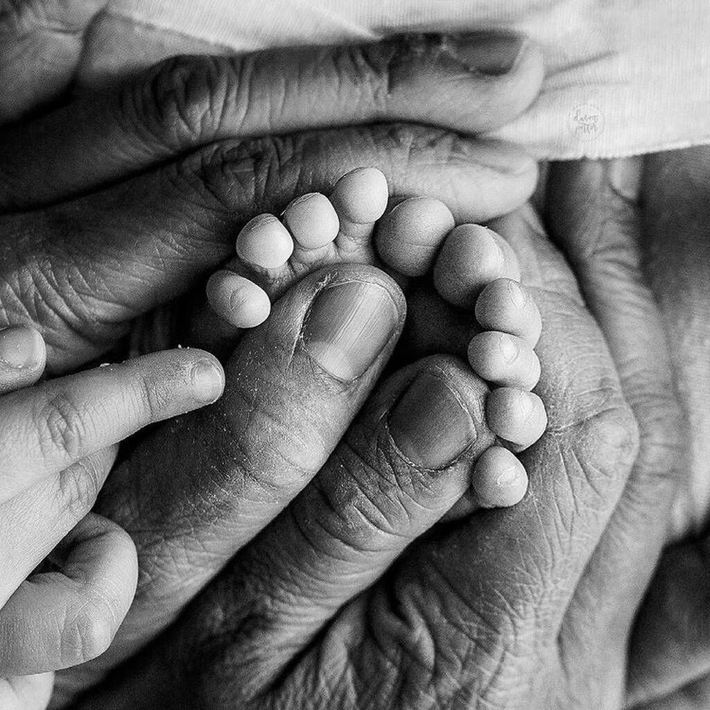 Instagram @dawnpotterphotography