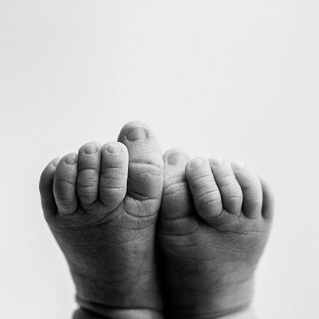 Instagram @dawnpotterphotography