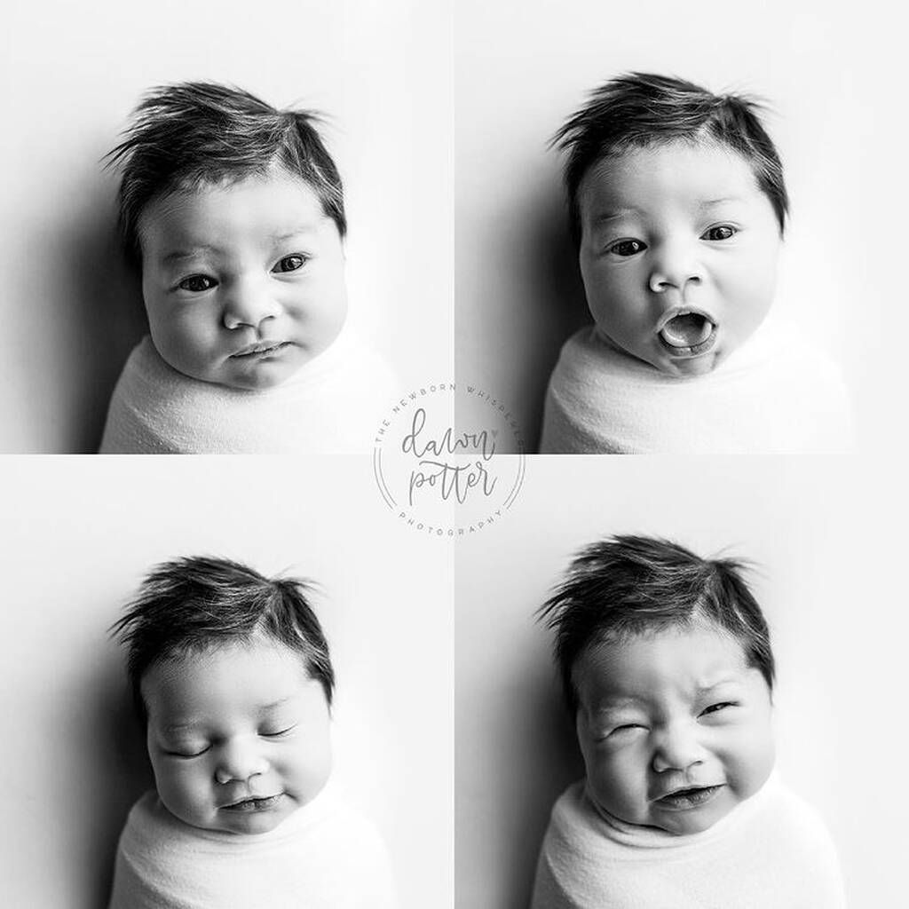 Instagram @dawnpotterphotography