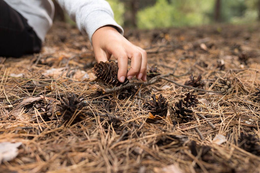"Ας αναφέρουμε όλους όσους αγαπάς" - Η Anais Nin είχε πει κάποτε, "Το άγχος είναι ο μεγαλύτερος δολοφόνος της αγάπης". Αν αυτή η δήλωση είναι αληθινή, τότε η αγάπη είναι επίσης ο μεγαλύτερος δολοφόνος του άγχους. Ανακαλώντας όλα τα άτομα που αγαπά το παιδ