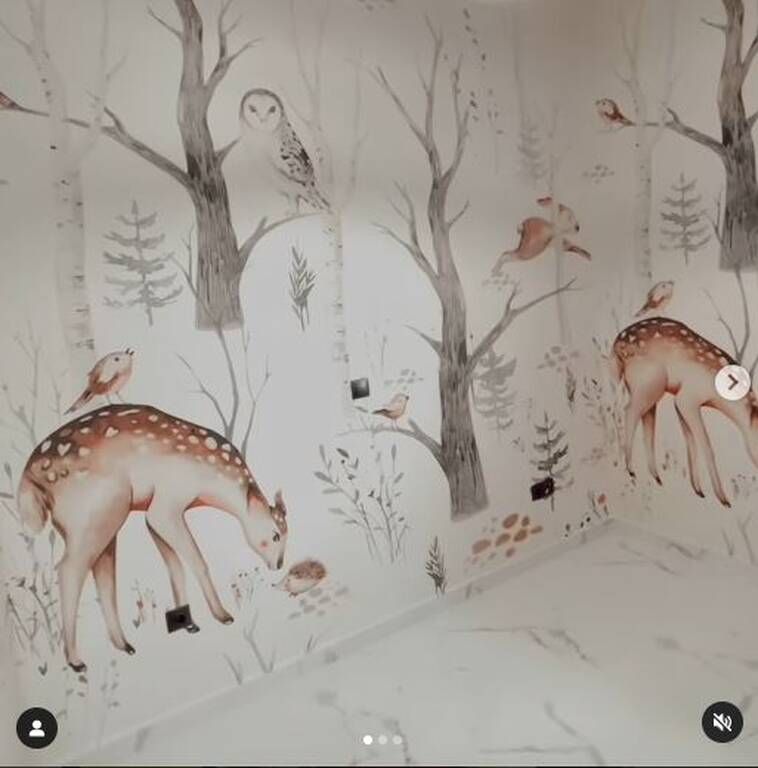 Όλγα Πηλιάκη: Ονειρεμένο το νέο παιδικό δωμάτιο της Μαλένας (εικόνες και vid)