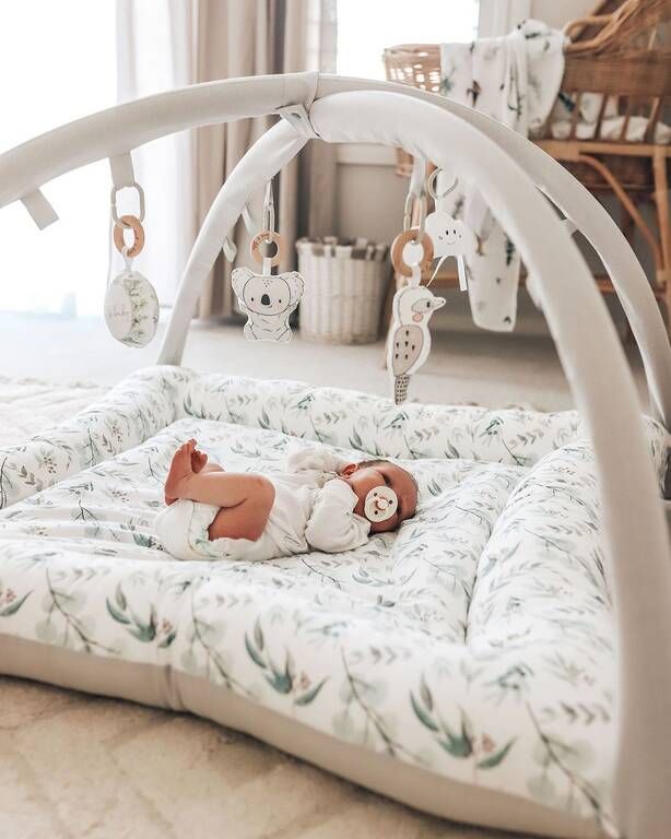 Instagram@ cloverandlola