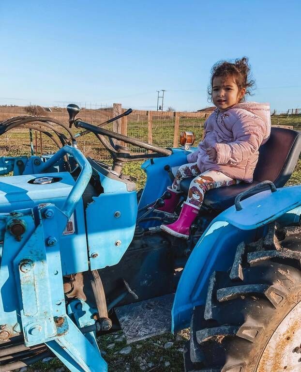 Ετεοκλής Παύλου: Η χειροτεχνία της Μελίτας που τον συγκίνησε - Την ετοίμαζε όλο το απόγευμα