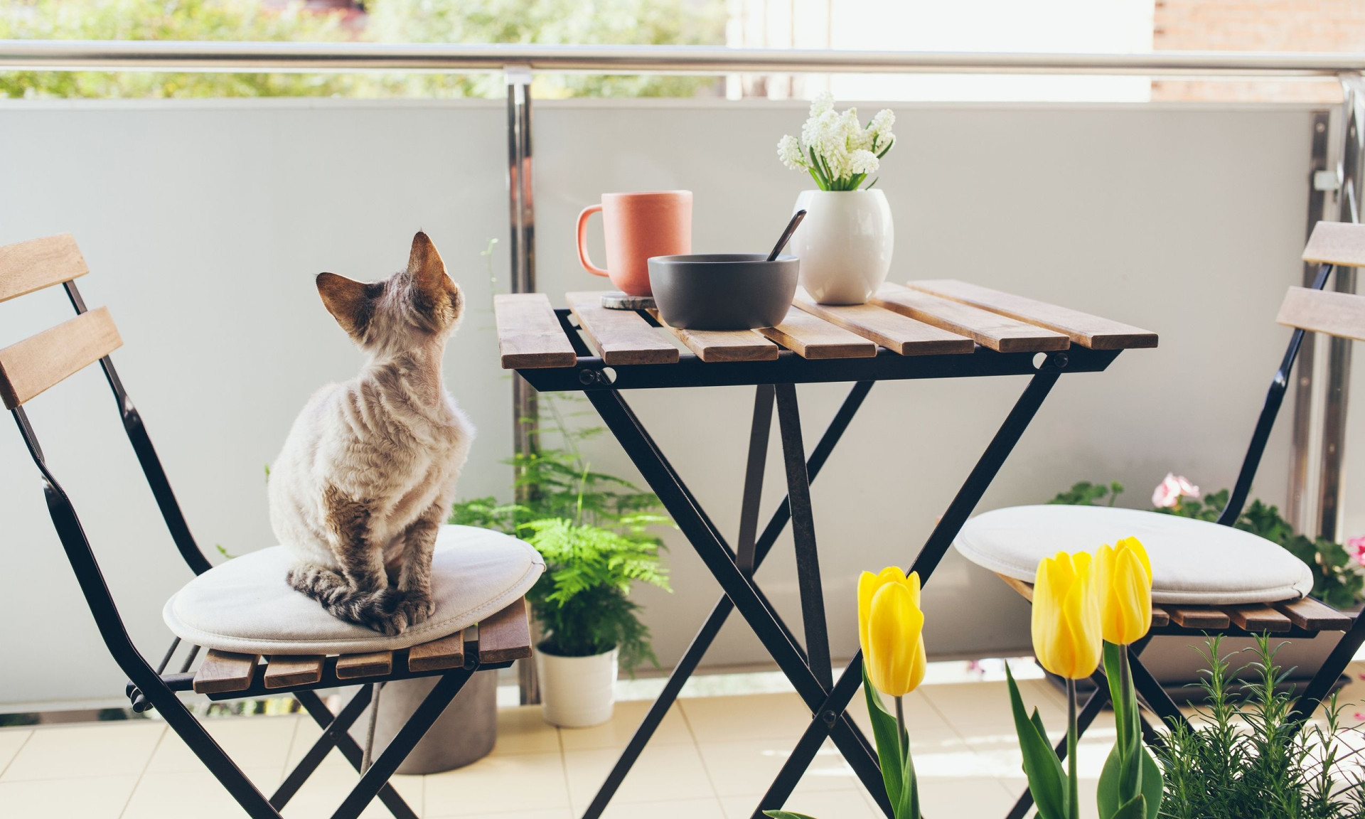 Μικρό μπαλκόνι: 10 ιδέες για να το διακοσμήσετε με φυτά και τα κατάλληλα έπιπλα